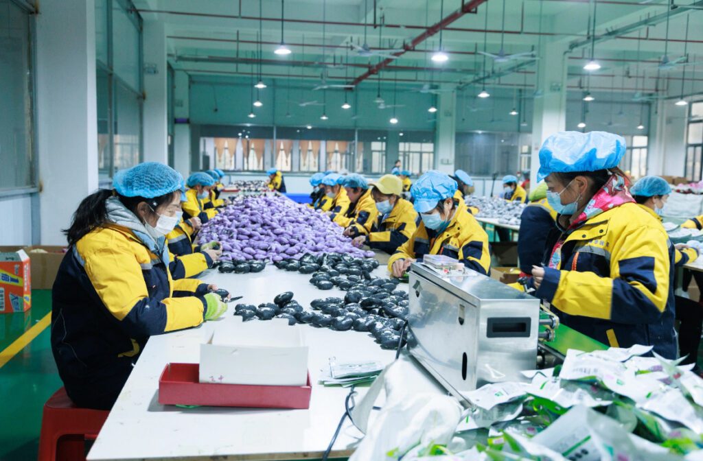 Baby Shower Decorations|Gender Reveal Party Decor|1st Birthday Party Backdrop|Newborn Celebration Decor|Arch Backdrop Cover|Party Background Cloth